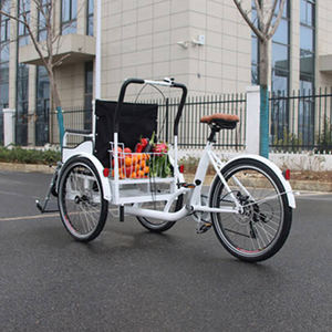 Fauteuil roulant électrique de haute qualité, vélo cargo électrique <span class=keywords><strong>pour</strong></span> personnes handicapées et personnes âgées, 3 roues <span class=keywords><strong>pour</strong></span> adultes, <span class=keywords><strong>pour</strong></span> 2 personnes, différentiel - Product Image 4