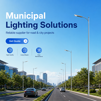 Farola LED Solar DC con Certificación IP66, CCC, CE y RoHS, Batería Lifepo4, Aluminio, Garantía de 5 Años, para Carreteras, Jardines y Montaje en Pared
