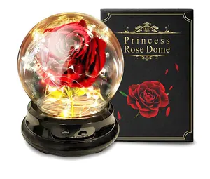 Jiayi yaratıcı sevgililer günü hediyeleri yapay çiçek gül cam lamba küçük prens kar küresi