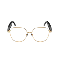 Lunettes Intelligentes W100B Style Affaires avec Traduction IA, Monture Métallique, Étanchéité IPX-5, Contrôle par Application pour Écouter de la Musique et la Voix