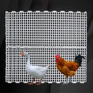 Broiler Farm Plastic Slatted Dung Leaking Board Poultry Slat Floor for Chicken Chick Duck Goose