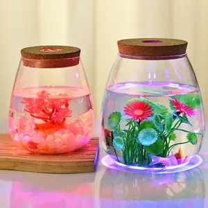 Plante hydroponique éco-bouteille eau culture pot de fleurs Betta poisson bouteille navire décoration micro paysage gros vase en verre