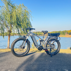 Bicicleta Eléctrica de Montaña de Alta Calidad con Llantas Gruesas de 26 Pulgadas y Batería Dual de 60v Plus - Product Image 5