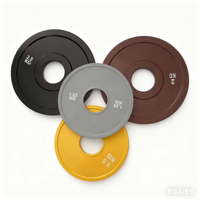 Plaques de poids fractionnelles codées par couleur DINUO, plaques en acier peintes à la fourne, en plusieurs poids, pour l'entraînement progressif en salle de sport