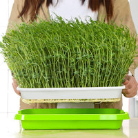 Plateaux de germination hydroponiques à mailles peu profondes microgreens plateaux et couvercles de pépinière de germination