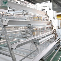 Sistema de Jaulas para Gallinas Ponedoras Tipo A, Totalmente Automático, para la Recolección de Huevos, para Granjas Avícolas de Gran Escala con Capacidad para 30000 Aves