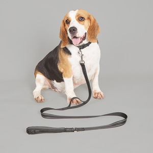 Wholesale Customized Leather Padded Solid Adjustable <strong>Waterproof</strong> <strong>Dog</strong> Collar <strong>Leash</strong> - Product Image 4