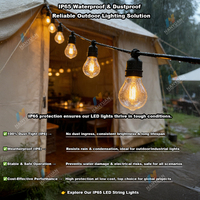 Guirlandes lumineuses d'extérieur personnalisables, étanches IP65, ampoules LED en plastique, lumières féériques, prise AC, longueur 5 m, garantie 3 ans, décoration