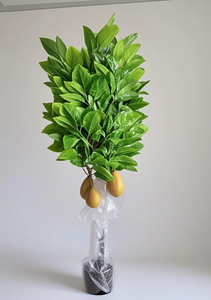 ต้นโกโก้ประดิษฐ์สำหรับตกแต่งภายในบ้าน ร้านกาแฟ และร้านขายเสื้อผ้า ต้นไม้ประดับสีเขียว - Product Image 6