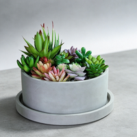 Pot de fleurs rond en béton mat avec plateau de base, pot en ciment pour succulentes, style INS, vase de bureau, logo personnalisé, approvisionnement en gros