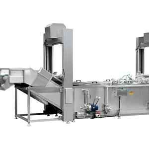 High Efficiency Fruit and Vegetable Blanching Machine Blancher