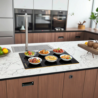 Plateau chauffant électrique pour aliments Appareils intelligents Plaque chauffante pour buffet Plaques intelligentes pour la cuisson Plaque chauffante pour la cuisine