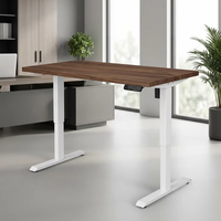 Cadre de bureau électrique moderne robuste à moteur unique, réglable en hauteur sur 2 niveaux, base de bureau assis-debout avec pieds biseautés