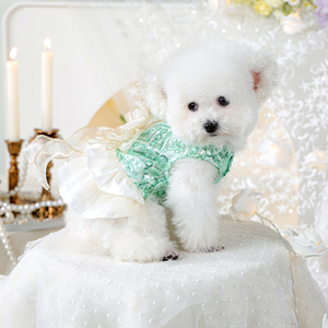 PETCIRCLE Ropa de Primavera/Verano para Perros y Gatos, Vestido de Novia Esmeralda - Product Image 2