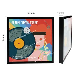 hot seller vinyl record albums frame on wall mount for turntable record storage