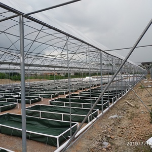Aquaponics hoàn thành hệ thống điển hình kỹ thuật cá trang trại bể nhà kính thương mại hydroponics RAS Aquaponics hệ thống - Product Image 5