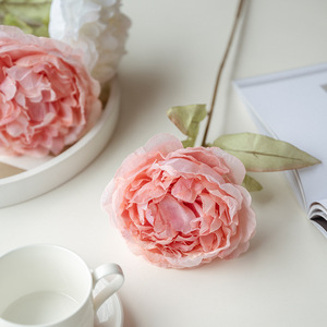D24 55CM fleur <span class=keywords><strong>de</strong></span> pivoine en soie à tige unique pour mariage fête à la maison hôtel seuil <span class=keywords><strong>de</strong></span> fenêtre déco pivoines artificielles Arrangements floraux - Product Image 3