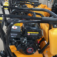 Compacteur de plaques portable à moteur à essence/véhicule diesel vibrant de petite taille pour les travaux de construction