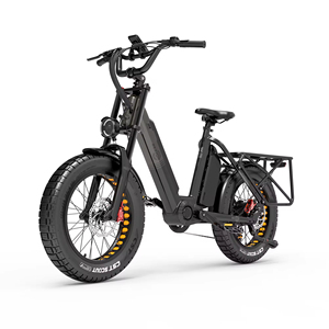 Bafang-Tricycle Électrique de Mobilité à Gros Pneu de Ville 750W, avec Cadre en Alliage d'Aluminium, Moteur 6061, pour UE, UK, US - Product Image 1