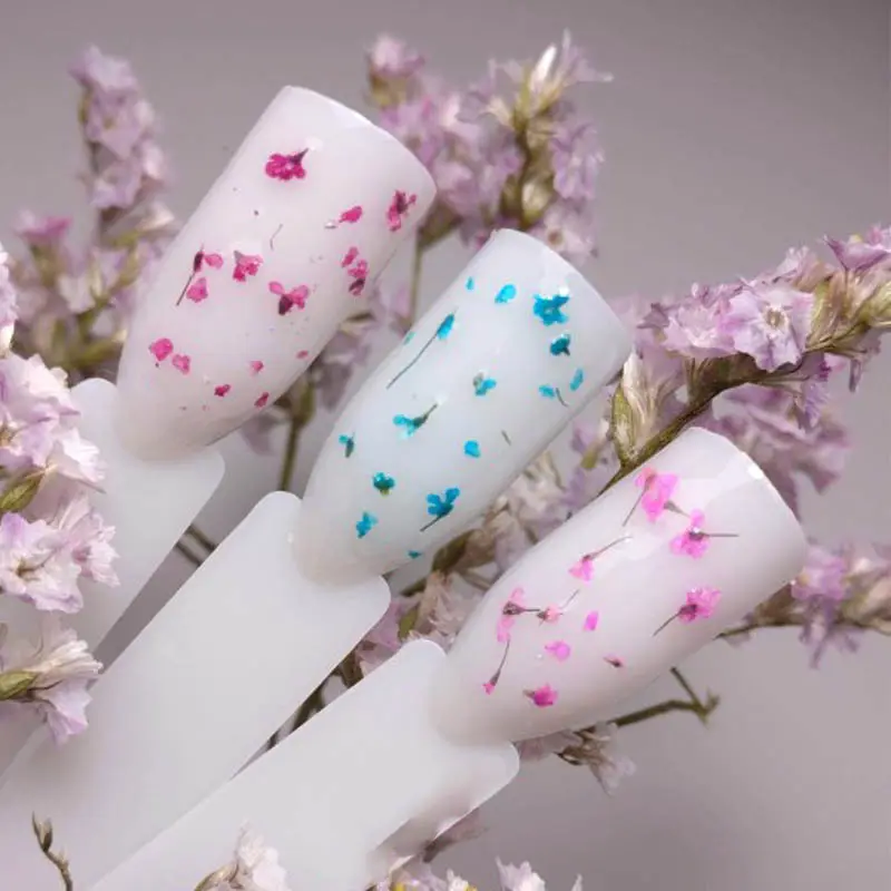 5ml Floral Flowers Gel Nail Polish Natural Dried Flower Gel Colorful Soak Off Other Nail Painting Gel Color Set