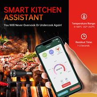 Termometer Dapur BBQ Nirkabel Pintar Tahan Air FM-200 Terbaru, Pembacaan Cepat, Pengoperasian Aplikasi