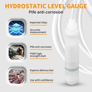 משדר מפלס הידרוסטטי טבול מפלסטיק תעשייתי PTFE 4-20mA דיוק 0.5%  למים כימיים, חומצה, אלקלי וביוב - Product Image 4