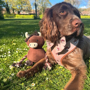 犬用ハーネスセットプロチームカスタマイズクイックレスポンスかわいいカスタム犬用タフトレイル犬用ハーネス - Product Image 4