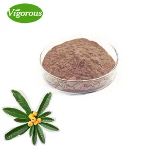 Free Sample Hot Sale Natural Loquat Leaf Extract