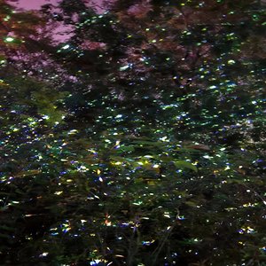 Spectacle de lumière laser vert LED pour arbres, installation artistique écologique pour parcs et environnements, couleur de lumière blanche. - Product Image 1