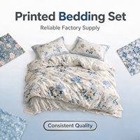 Parure de lit en microfibre en gros – Linge de lit doux imprimé, plusieurs tailles, approvisionnement stable direct usine pour les distributeurs mondiaux