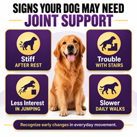 Complément alimentaire professionnel pour chiens, sous forme de bouchées molles, avec collagène de moules vertes et glucosamine pour la flexibilité et le confort des chiots
