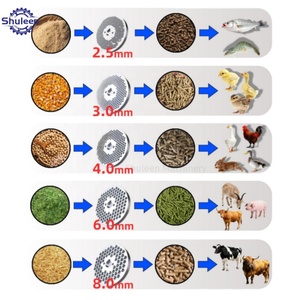 Machine d'alimentation par palettes pour lapins - Product Image 3