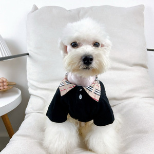 Camisa POLO de marca de moda para mascotas de suministro del fabricante para perros y gatos, sudadera de solapa a cuadros, camiseta de perro <span class=keywords><strong>pequeño</strong></span> Teddy <span class=keywords><strong>Schnauzer</strong></span> - Product Image 1