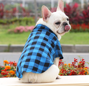All'ingrosso Moda Grande Cane Camicia a quadri abbigliamento firmato Pet <span class=keywords><strong>vestiti</strong></span> estivi <span class=keywords><strong>per</strong></span> coniglio di lusso animali domestici <span class=keywords><strong>vestiti</strong></span> e accessori - Product Image 2