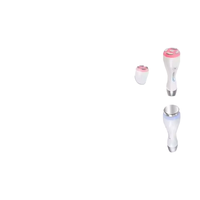 Máquinas Profesionales de Electroporación para Belleza, el Mejor Proveedor de Electroporadores Faciales y Corporales, Dispositivo de Enfriamiento de Piel para la Unión Europea