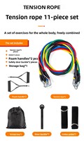 Set de 11 piezas de bandas de resistencia de látex TPE para ejercicio en casa, gimnasio, fitness, pilates, barra, anclaje de puerta y cuerda de entrenamiento.