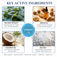 Shampooing Solide à l'Extrait de Varech Naturel Parfum Océan, Rafraîchissant pour le Cuir Chevelu, Équilibrant l'Huile, Renforce les Cheveux, Sans Sulfate, 60g