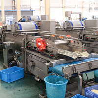 Industriële machine voor het wassen en snijden van groenten en fruit