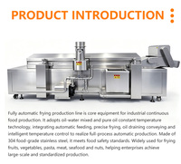 Industriële frituurmachine voor aardappelchips, friet, zoete aardappelchips, bananenchips, cassavechips en groentesnacks