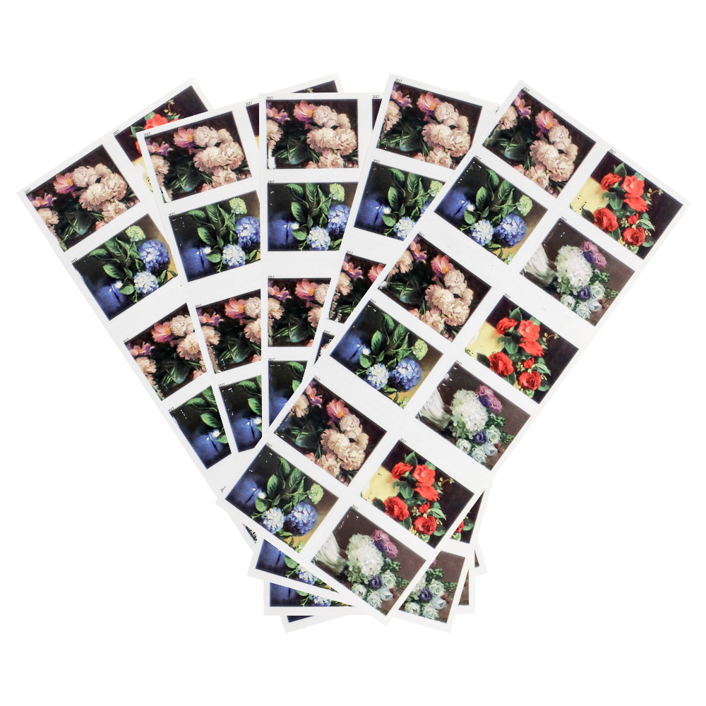 Hortensia 2017 MY-RX106