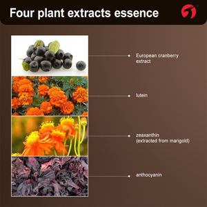 Suplemento de hierbas para <span class=keywords><strong>el</strong></span> cuidado de los ojos: Nutre <span class=keywords><strong>el</strong></span> hígado y mejora la visión, protege los ojos. Las hierbas naturales no tienen efectos secundarios. - Product Image 3