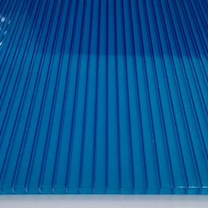 2023 vente en gros de plaques de toiture en Polycarbonate solide à double paroi de 6mm, personnalisation des couleurs sous Label privé pour serre