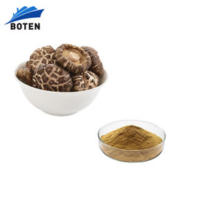 Polvere di Estratto di Funghi Shiitake Naturale di Grado Alimentare con 8000 UI di Vitamina <span class=keywords><strong>D2</strong></span> - Product Image 1