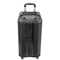 MIC kare dans ucuz açık DJ ahşap süper bas tek 12 inç hareketli Bt kablosuz USB amplifikatör parti ses hoparlör