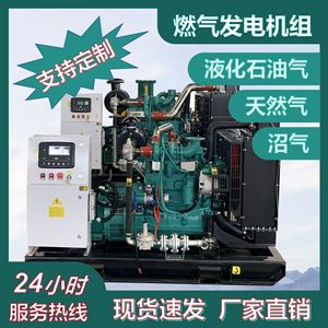 Generador de Gas Natural de 200kw, Motor de Combustible LPG, 400v, Color Verde, Alto Nivel de Seguridad - Product Image 2