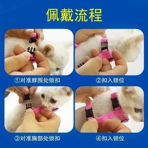 Correa para gatos, arnés de pecho ajustable de nailon para gatos pequeños, para caminar al aire libre, equipo de seguridad antiescape para mascotas - Product Image 5