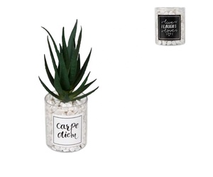 Mini combinaison de plantes en pot artificielles INS vent transfrontalier maison Simulation plante verte succulente petit bonsaï - Product Image 2