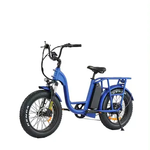 OEM China Direct Sale 20 inch hot sale big battery 48V wholesale fat tire With front rack and rear rack ebike stealth bomber