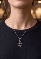 Collier en acier inoxydable personnalisé Inspire avec vague sonore réelle en argent