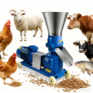 Piccola macchina per pellet a matrice piatta per polli, suini, bovini e pesci - Product Image 6